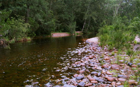 Kayaking Upper Tuross River And Bumbo Lake - Tourism Search 1