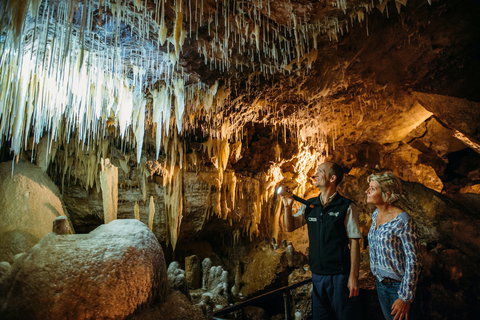 Lake Cave - Tourism Search 1