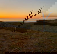 Lessismore Farm Afternoon Farmer - Tourism Search