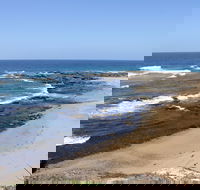 Little Shelley - Tourism Search