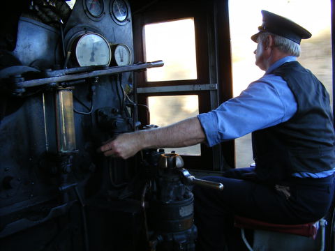 Mary Valley Rattler - Tourism Search 2