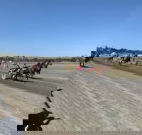 Marburg Pacing Association - Tourism Search