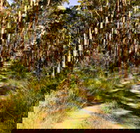 Mining Road Fire Trail Old Gibber Road Rire Trail - Tourism Search