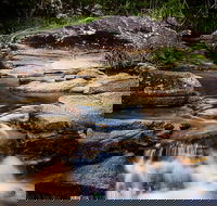 Mothar Mountain Rockpools - Tourism Search