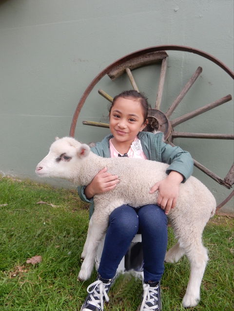 Myuna Farm - Tourism Search 0