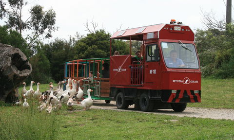 Myuna Farm - Tourism Search 2