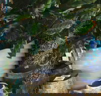 Noreen's Seaside Shop - Tourism Search