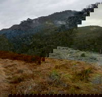 Nowendoc National Park - Tourism Search