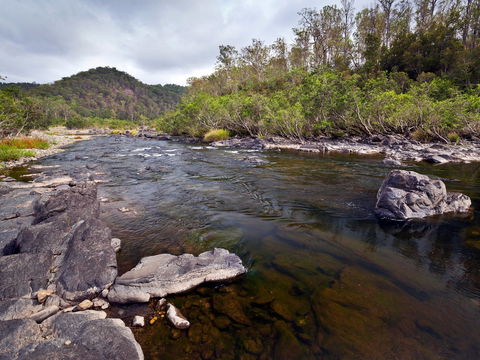 Nymboida - Tourism Search 2