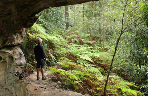 Old Great North Road Bike Ride - Tourism Search 0