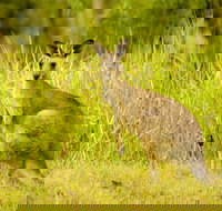 Perseverance - Tourism Search