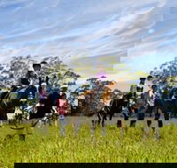 Port Macquarie Horse Riding Centre - Tourism Search