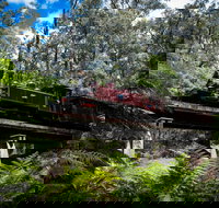 Puffing Billy Railway - Tourism Search