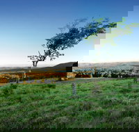 Ravensbourne National Park - Tourism Search