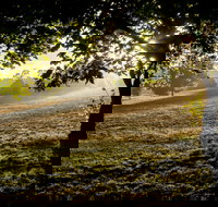 Ruffey Lake Park - Tourism Search