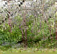 Scutts Hut Trail - Tourism Search