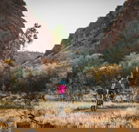 Simpsons Gap Bicycle Path - Tourism Search