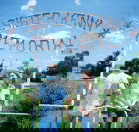 Sister Kenny Memorial Nobby - Tourism Search