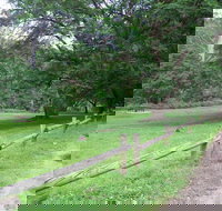 St Albans Reserve - Tourism Search