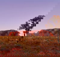 Sunrise Viewing Area Talinguru Nyakunytjaku - Tourism Search