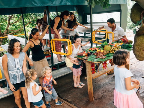 Tropical Fruit World - Tourism Search 2