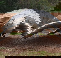 Underwater Marine Sculptures - Tourism Search