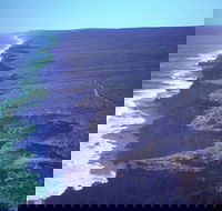 Useless Loop - Tourism Search