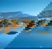 Wagonga Picnic Area - Tourism Search