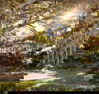 Wendy Whiteley's Secret Garden - Tourism Search