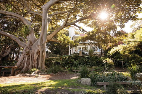 Wendy Whiteley's Secret Garden - Tourism Search 0