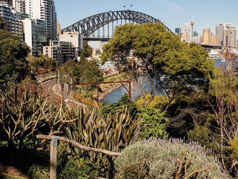 Wendy Whiteley's Secret Garden - Tourism Search 2