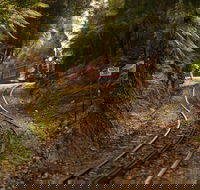 West Coast - Tourism Search