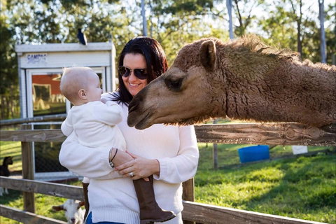 White Ridge Farm - Tourism Search 0