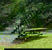Williams River picnic area - Tourism Search