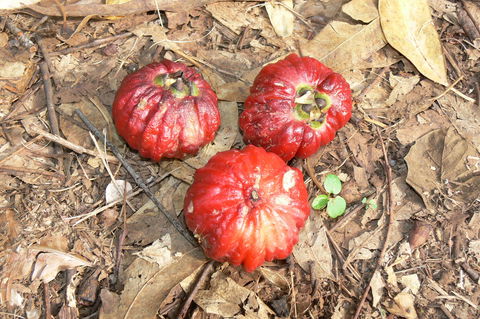 Window On The Wetlands - Tourism Search 1