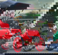 Wonders of Wynyard  Exhibition and Visitor Information Centre - Tourism Search