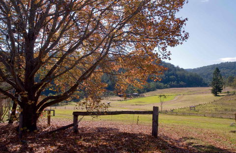 Yengo National Park - Tourism Search 1