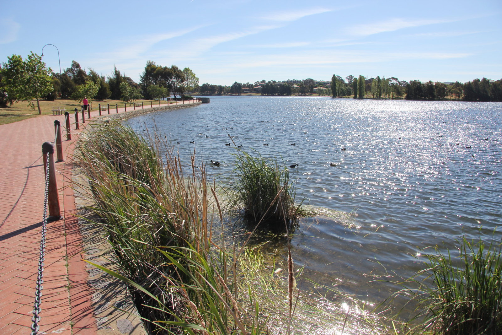 Bonner ACT Tourism Search
