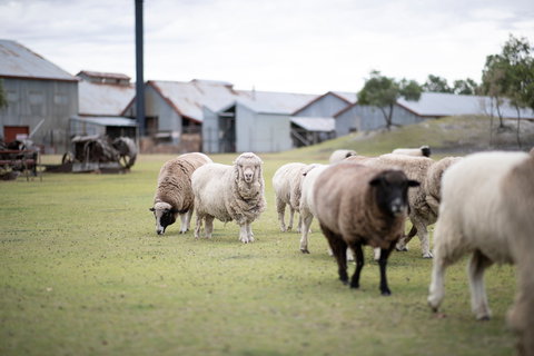 14 Day Gems Of The Outback - Tourism Search 2