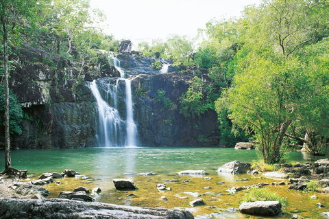 Airlie Beach To Cedar Creek Falls - Tourism Search 0