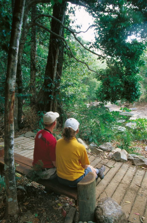 Airlie Beach To Cedar Creek Falls - Tourism Search 2
