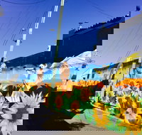 Art Trails in the Moree Plains - Tourism Search