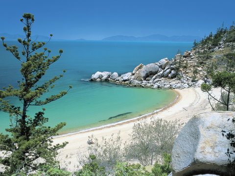 Arthur Bay - Tourism Search 0