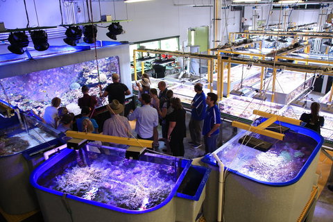 Australian Institute Of Marine Science - Tourism Search 0