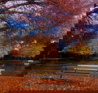 Bells Parade Reserve - Tourism Search