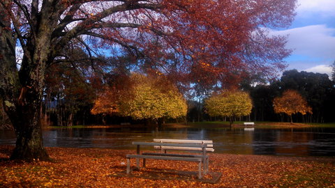 Bells Parade Reserve - Tourism Search 0