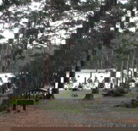 Big Brook Arboretum - Tourism Search