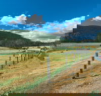 Blackwood River Tourist Drive - Tourism Search