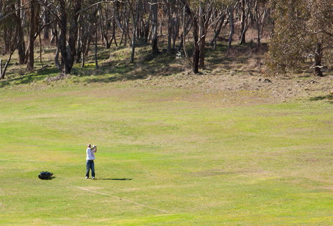 Blayney Golf Club - Tourism Search 1