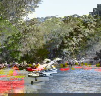Bonville Creek - Tourism Search